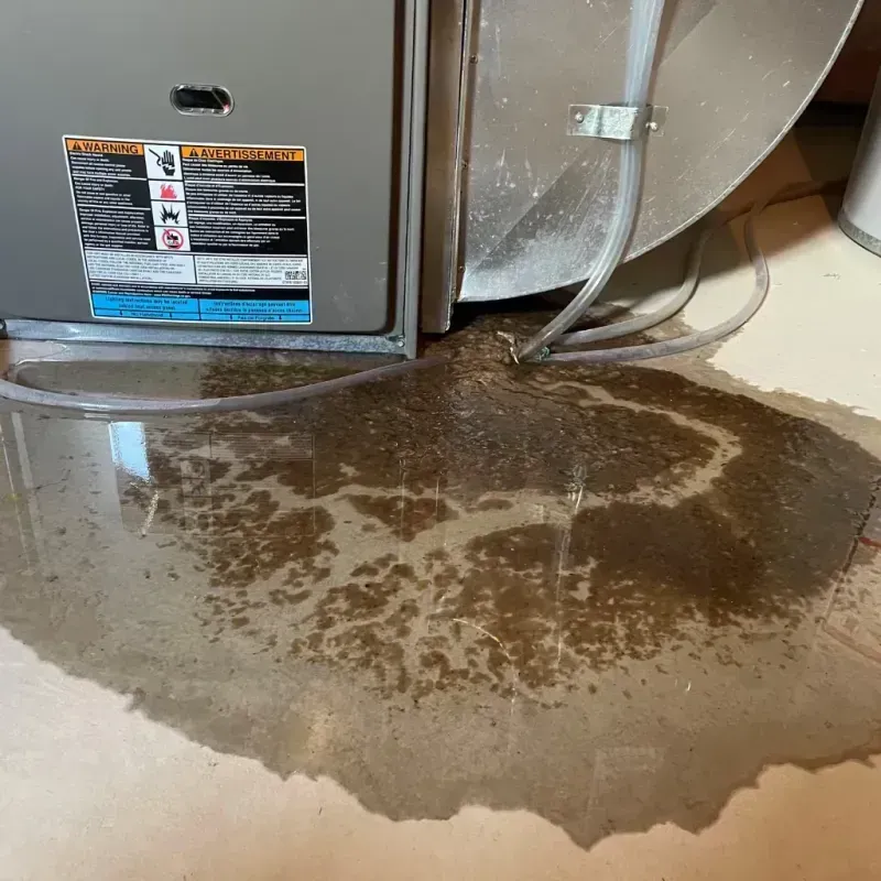 Appliance Leak Cleanup in Troy, KS